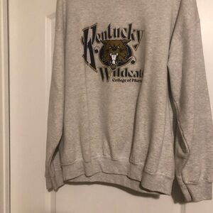 Gildan Gray Kentucky Wildcats Sweatshirt